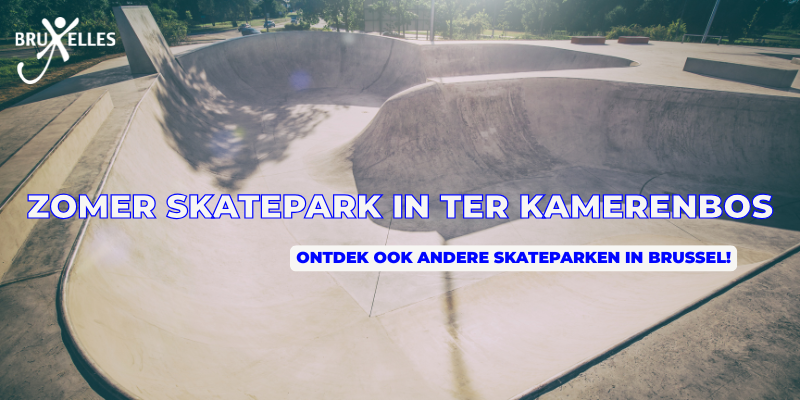 Youth Coalition van Brussels2030, Zomer skatepark in Ter Kamerenbos