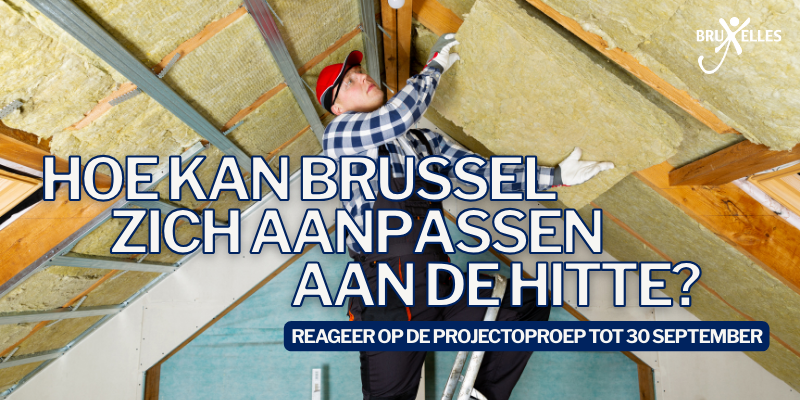 Verkiezingen 2024 in België, Hoe kan Brussel zich aanpassen aan de hitte?